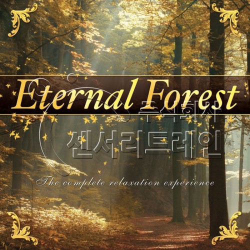 심리안정 힐링음악 (Eternal Forest/영원한 숲) CD